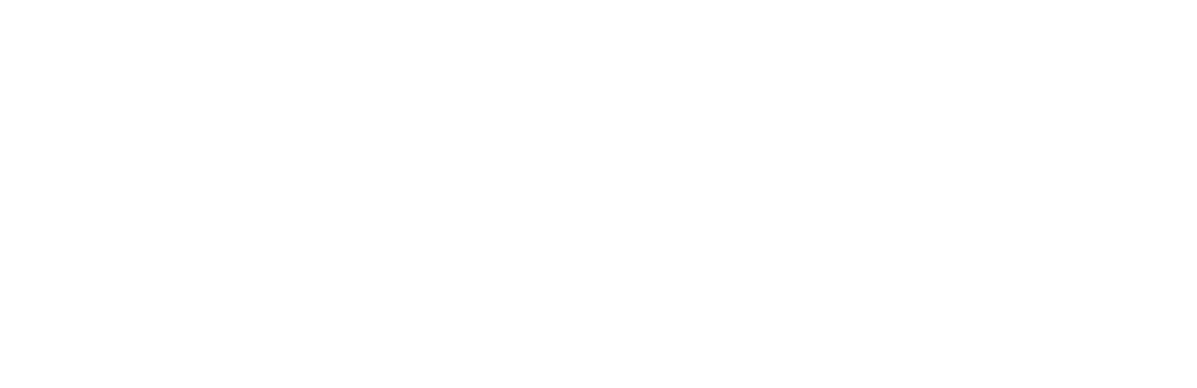 Wiferion Logo